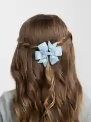 Бирюзовый заколки клик-клак, 2 штуки