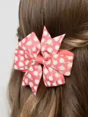 Коралловый заколки клик-клак, 2 штуки