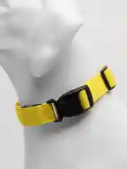 Желтый ошейник для собак, светящийся на батарейках