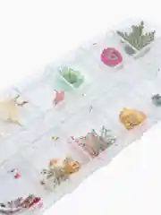 Красный сухоцветы для маникюра и творчества