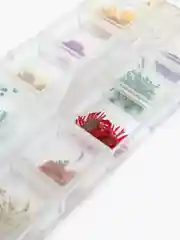 Зеленый сухоцветы для маникюра и творчества