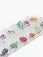 Зеленый сухоцветы для маникюра и творчества