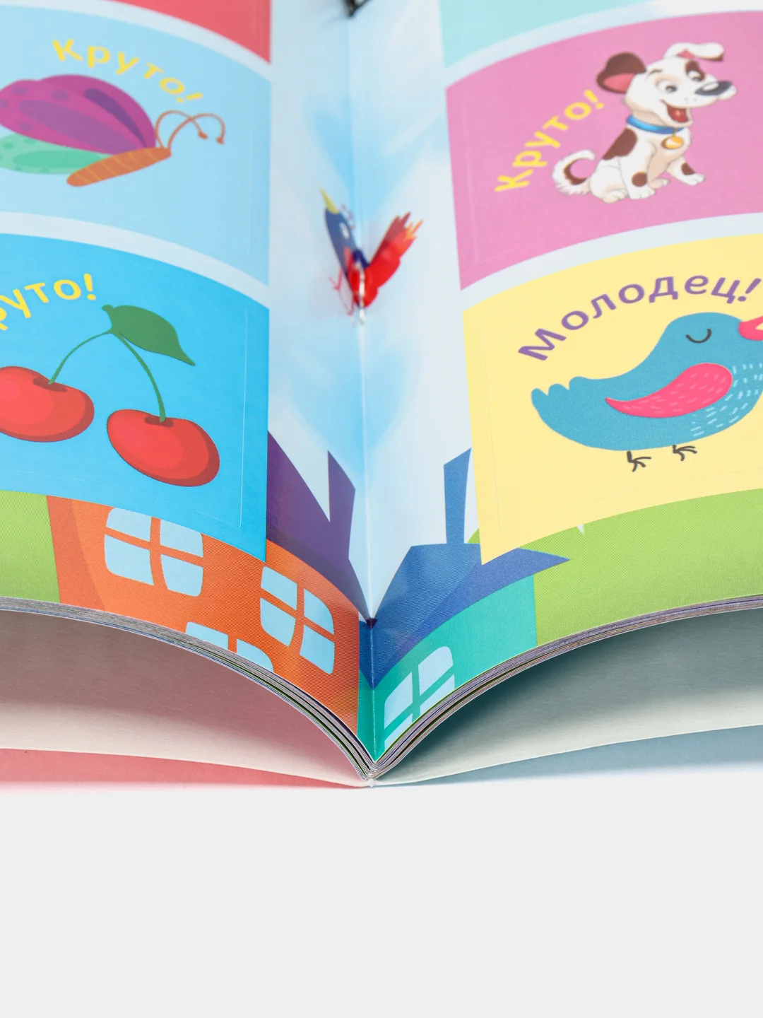Аметистовый книга с наклейками большая активити. Раскрска/игры/лабиринты/прописи 235х330мм. Проф-Пресс