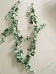Искусственные растения лиана, плюща, виноградные листья, зелень, ветка, цветы, декор 180см