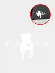 Белый наклейка на авто "PIT MOM"