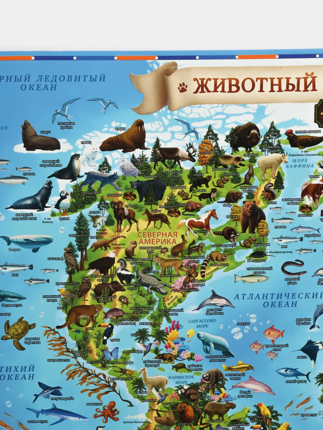 Детская карта мира Животный и растительный  мир Земли, 60 х 40 см