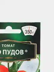 Семена Томат "Сто пудов", 2 штуки