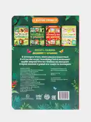 Книги картонные, с окошками, 4 темы