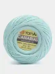 Мятный пряжа Canarias