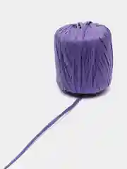 Фиолетовый пряжа Fibranatura Raffia, 40 г, 90 м