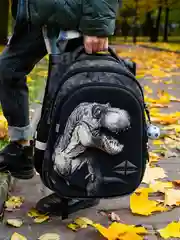 Школьный рюкзак детский