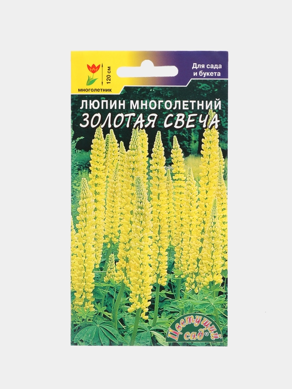 Люпин Золотая свеча (семена,цветы)