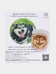Значок "Кира"