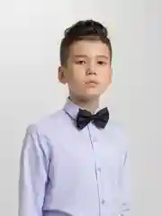 Галстук-бабочка
