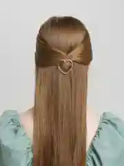 Бронзовый заколка для волос