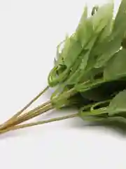 Белый искусственные цветы "Камелии"