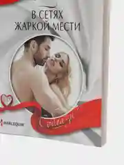 В сетях жаркой мести. Кэт Шилд