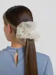 Белый резинка, шифон