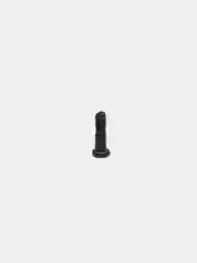 Серебряный винты нижние для iPhone 5 / 5S / SE 2016, 2 штуки