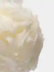 Белый мочалка для тела