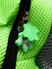 Зеленый рюкзак переноска для собак и кошек, домашних животных
