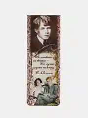 Хаки магнитная закладка "Писатели", 3,5 х 9,5 см