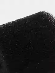 Губка Barbus для Filter 017 секционный