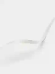 Слоновая кость ленточка