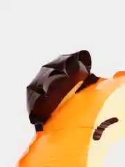 Оранжевый воздушные шары животные