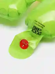 Лайм воздушные шары животные