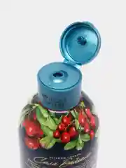 EDEM GARDEN Гель для душа натуральный "Сила Байкала" на брусничной воде, 350 мл