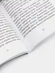 Книга на татарском языке. "Ракип Хамитов. Копчёный". Лилия Гибадуллина. ТАТМЕДИА