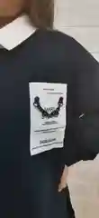 Костюм для девочки с брюками, школьный