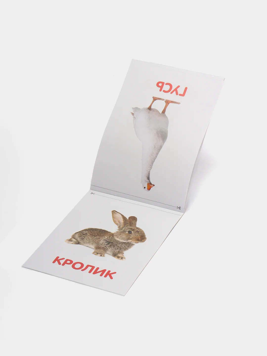Бирюзовый обучающая книжка-карточка по методике Г. Домана