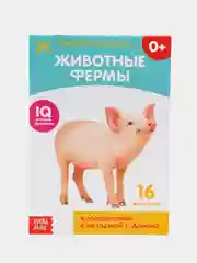 Бирюзовый обучающая книжка-карточка по методике Г. Домана