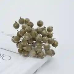 Золотистый хаки ягодки на ветке, сахарные, 40 ягод
