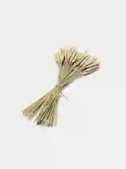 Зелёный хаки букет сухоцвет, колосья пшеницы