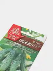 Семена Огурец "Окошко", Аэлита