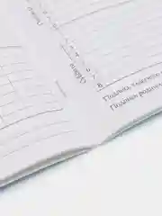 Дневник для 1-11 класса, в мягкой обложке, 48 л., Эльза, Холодное сердце