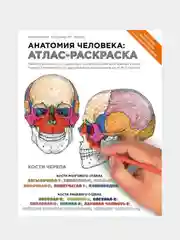 Анатомия человека: атлас-раскраска, Элсон Лоренс М., Кэпит Уинн