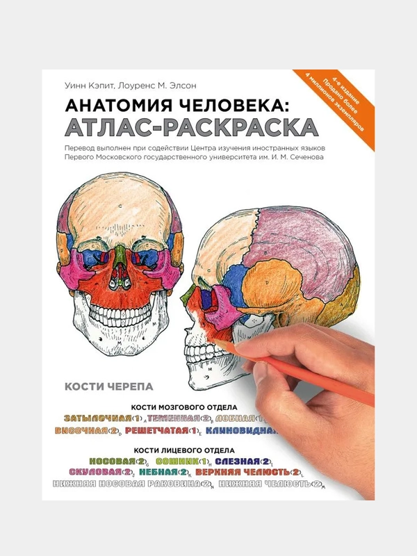 Анатомия человека: атлас-раскраска, Элсон Лоренс М., Кэпит Уинн