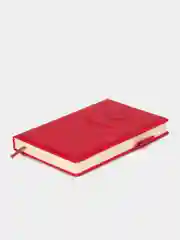 Красный записная книжка, блокнот, ежедневник в линейку