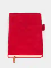 Красный записная книжка, блокнот, ежедневник в линейку