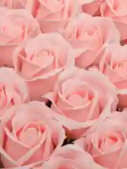 Кораллово-розовый подарочный набор "Мыльные цветы", вспененное мыло, 50 штук