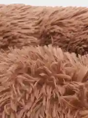 Угольный лежанка для домашних животных, с бортом, круглая
