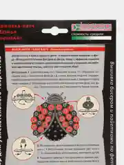 Набор для творчества. Изготовление украшения-патча Божья коровка. kлеvер