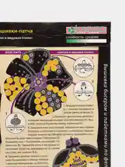 Набор для творчества. Изготовление украшения-патча Цветок и медовая пчела. kлеvер