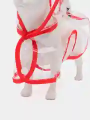 Красный дождевик с капюшоном для собак и кошек