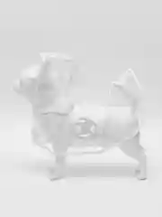 Белый дождевик с капюшоном для собак и кошек
