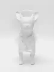 Белый дождевик с капюшоном для собак и кошек